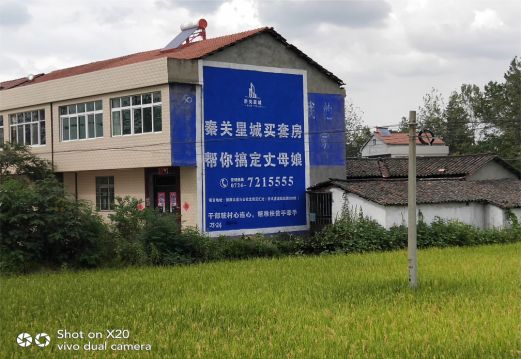 内黄决定墙体广告价格的因素有哪些?