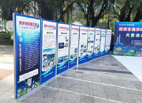 内黄KT板的种类和知识。